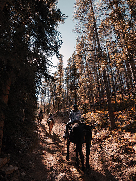 23_aspen_land_blog_body_29