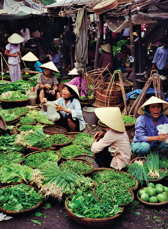 23_mvt_vietnam_blog_body_2
