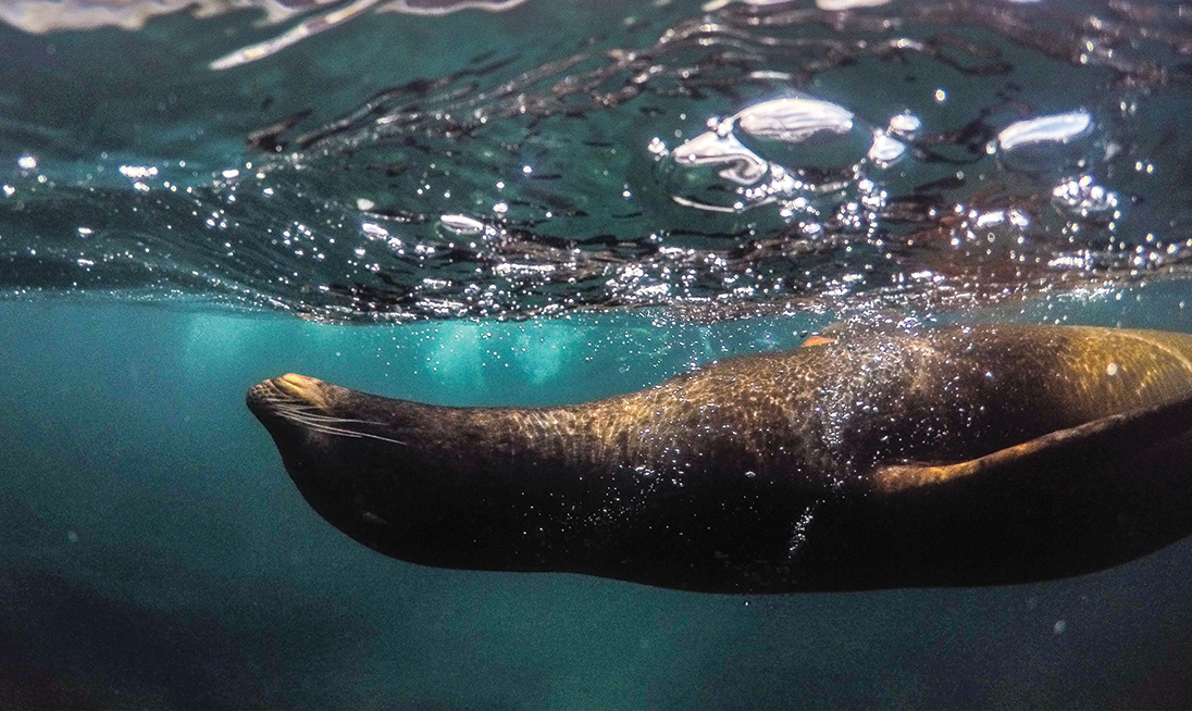 23_overland_galapagos_blog_body_stock_3