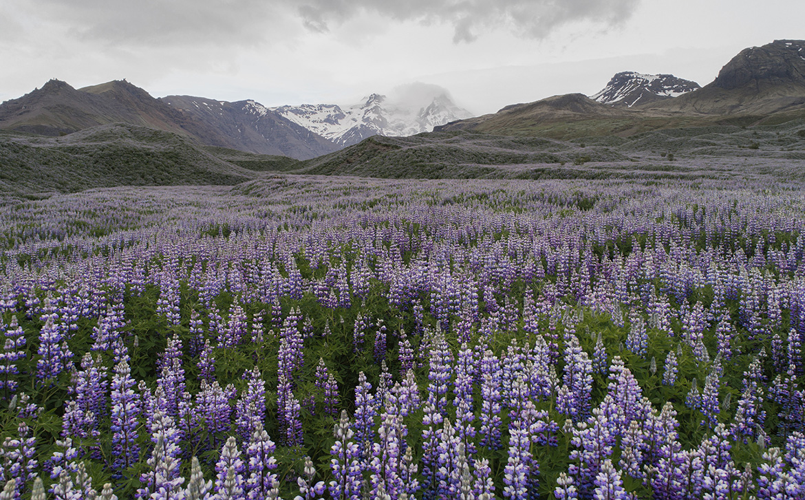 23_overland_iceland_blog_body_11