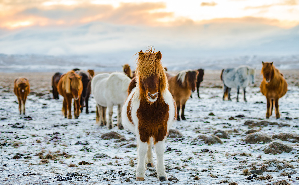 23_overland_iceland_blog_body_13