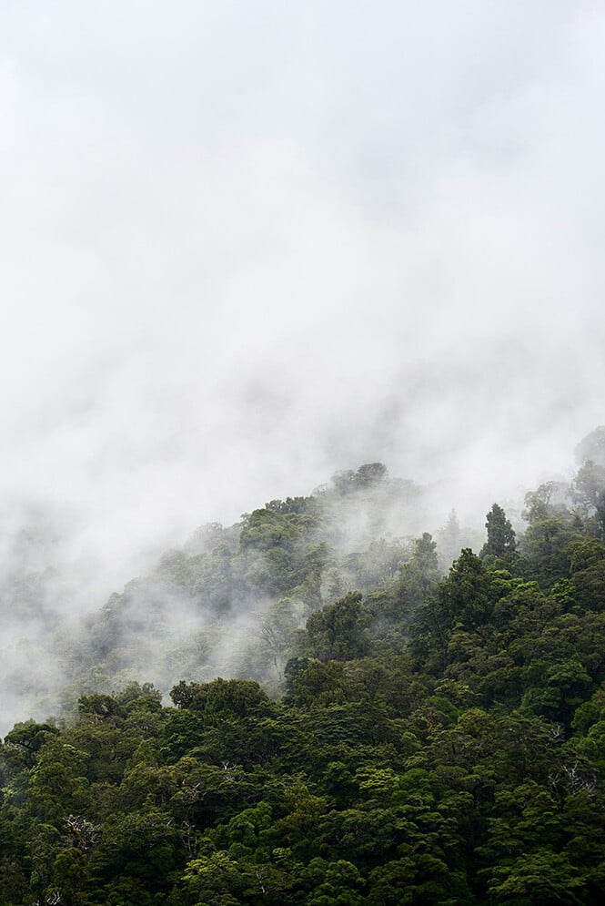 25_sustainabilityseries_Caribbean 1-1