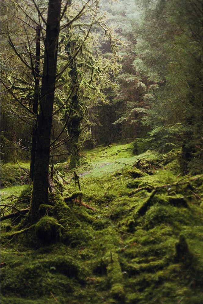 25_sustainabilityseries_UK 1 copy 3