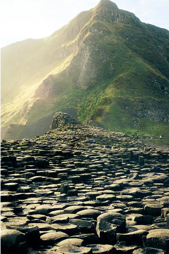 25_sustainabilityseries_UK-vertical copy 4