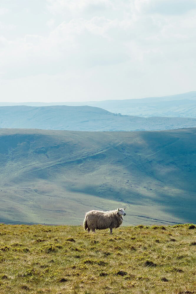 25_sustainabilityseries_UK-vertical copy 6