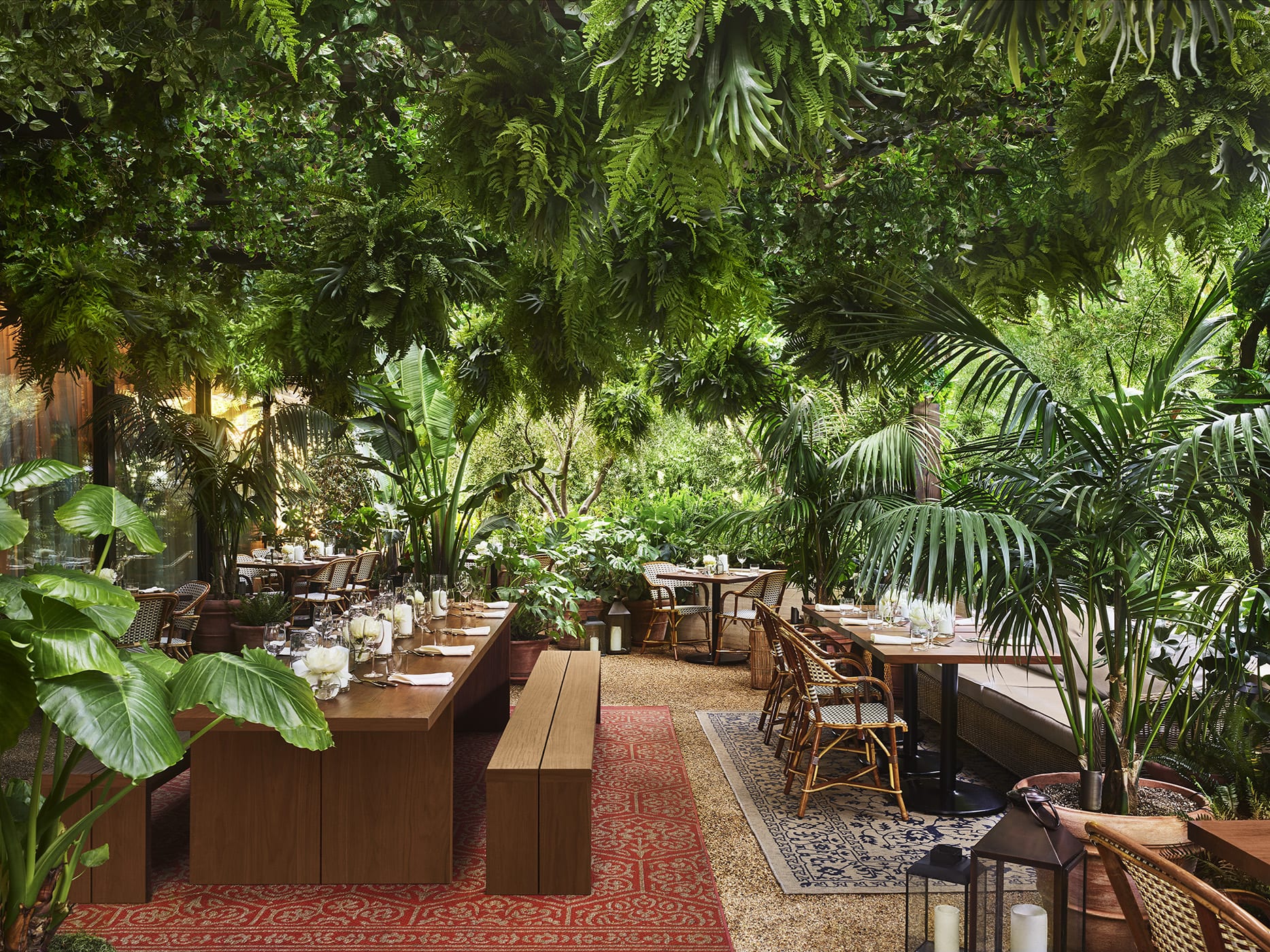 Ardor-Terrace-Day-edition