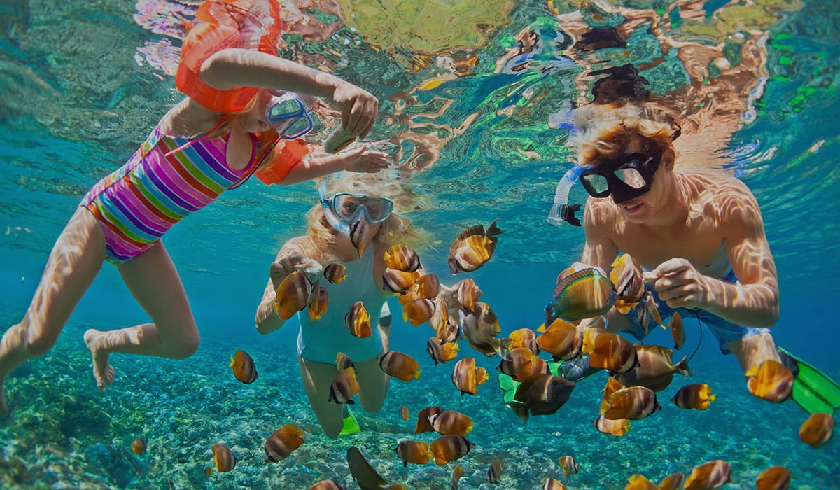 Celebrity Cruise snorkeling