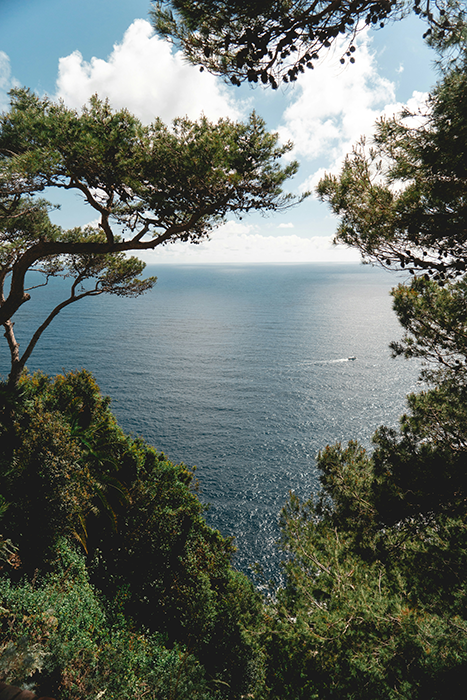 Mediterrean