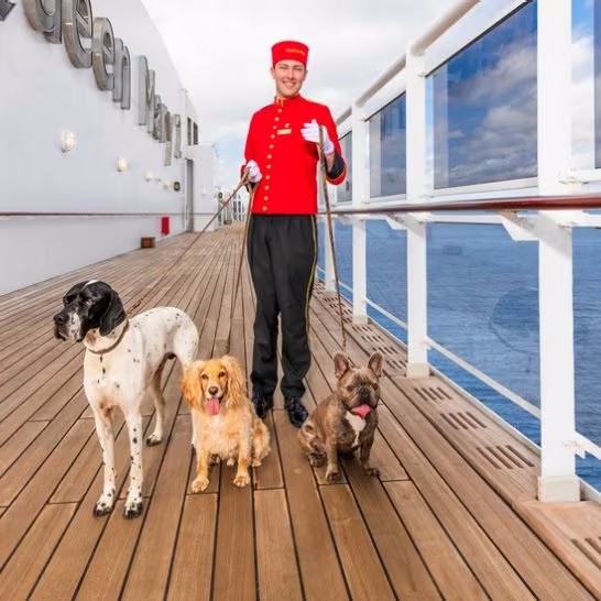 cunard-kennels-deck.jpg.image.546.546.high