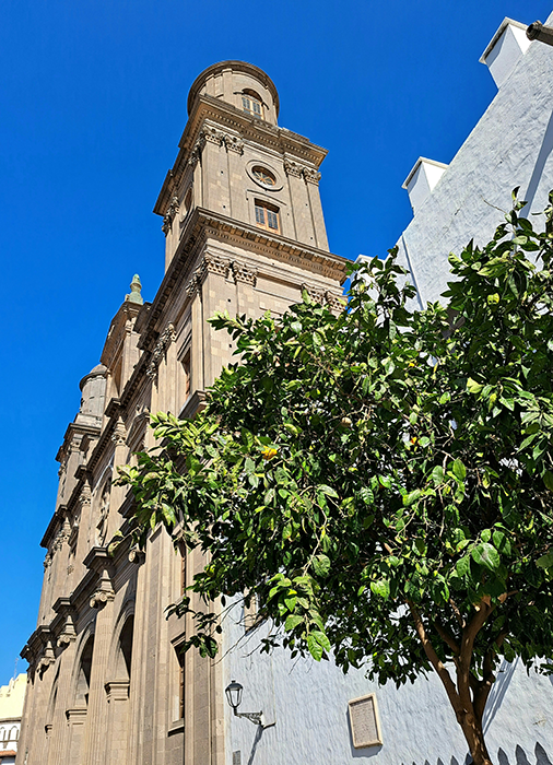 las palmas