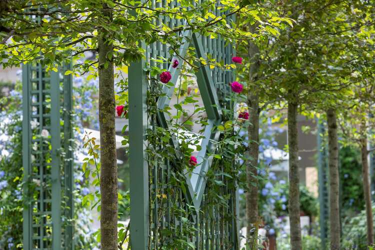 le jardin Le Bristol Paris
