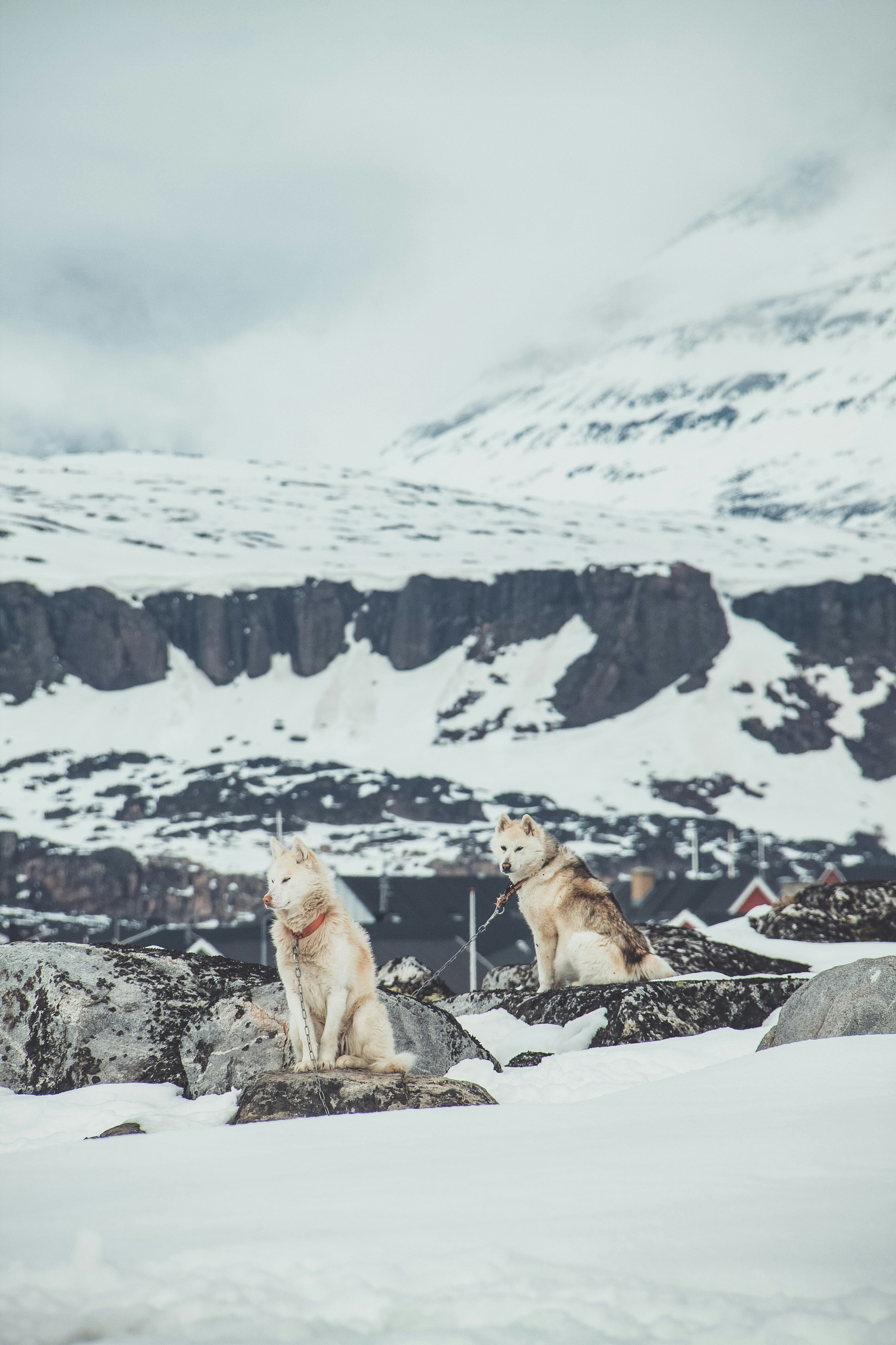 naja-bertolt-jensen-WYiYSfIhYds-unsplash