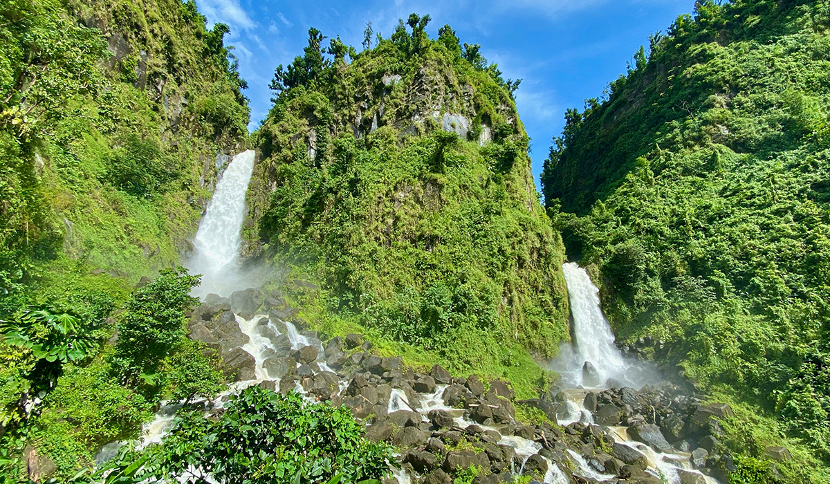 roseau-blog image-silversea